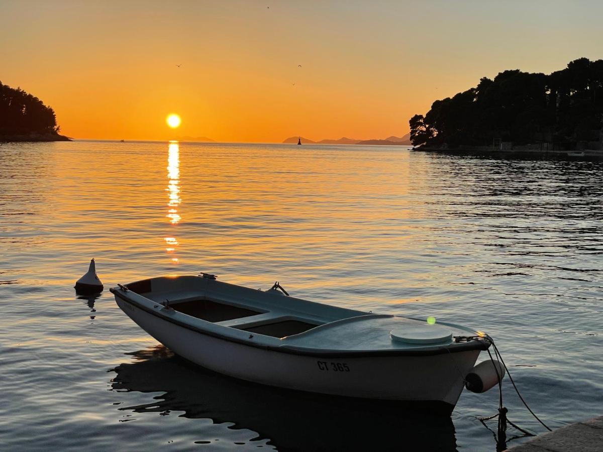 Lizza Villa Cavtat